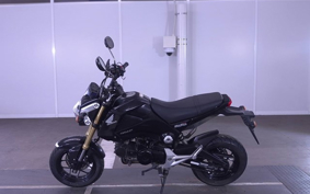 HONDA GROM