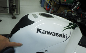 KAWASAKI ZZ1400 NINJA R 2006 ZXT40A