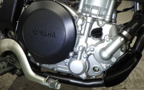 YAMAHA WR250X DG15J