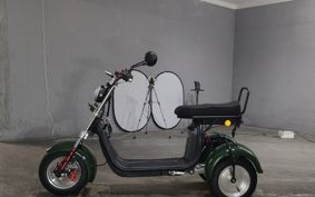 OTHER DENDOU TRIKE  ..