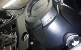 KAWASAKI NINJA 1000 SX 2024 ZXT02K