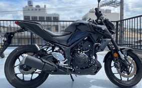 YAMAHA MT-25 ABS RG43J